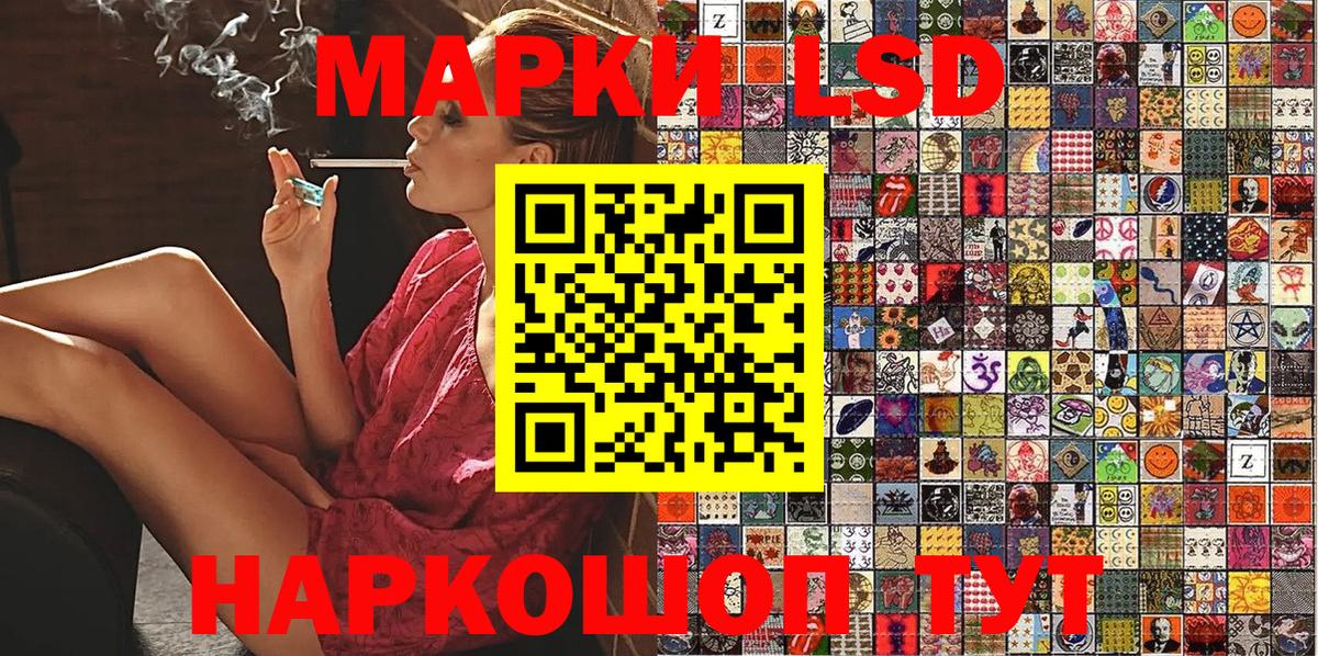 МЕФ Новокубанск
