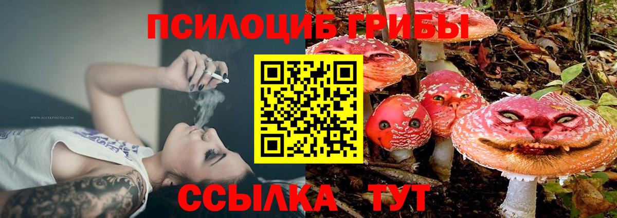 Новокубанск  Галлюциногенные грибы Psilocybe  Вход с VPN  Псилоцибиновые грибы Cubensis 